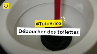 Déboucher des toilettes [upl. by Eninnaj]