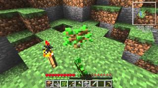 Minecraft  Floating Island Survival 05  Gremu amp MacieGTMPI  MACIEK TEPAJ [upl. by Celesta153]