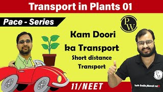 Transport in Plants 01 Short Distance Transport  Class 11  NEET Pace Series [upl. by Licha]