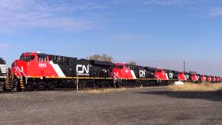 Railfanning Buffalo NY on 103013 with 11 Brand New CN GEVOs [upl. by Noyr781]