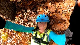 Lowell Dracut Forest with Fall Leaves Mountain Biking [upl. by Kling]