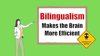 Bilingualism Makes the Brain More Efficient [upl. by Tamah]