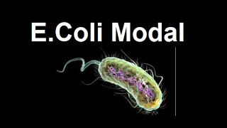 Escherichia coli E coli as modal organism  2024 [upl. by Vastha134]