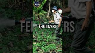 Fertilisers import Business facts hiiem businessideas [upl. by Carmina]