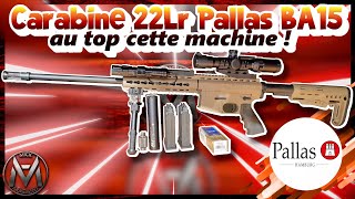 Carabine 22LR PALLAS BA15 Mes changements après 4000 tirs elle est extra [upl. by Courcy425]