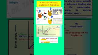 Kinetics of Allosteric Inhibition amp Activation  Allosteric Enzymes give a sigmoidal curve short [upl. by Atnahsa427]