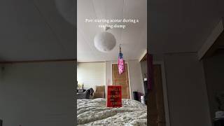 Starting acotar during a reading slump tiktok booktube booktok acotar sjm [upl. by Hernando]