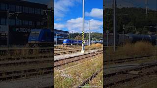 Schöner Kesselwagenzug beim Bahnhof Wettingen [upl. by Lennej]