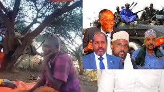 Dhulbahante Oo Soo Qarxiyay Cidii Dili Jirtay Dadkii Laascaanood Ee Somaliland Dusha Laga Saari Jire [upl. by Manella353]