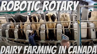 Touring a Farm With a Robotic Rotary Milking Parlor [upl. by Yelyab]