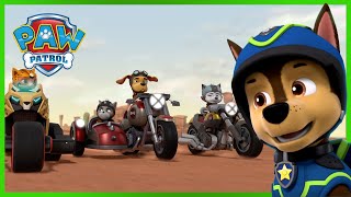 Over 1 Hour of Chase Rescues 🚨  PAW Patrol Episode  Cartoons for Kids [upl. by Jazmin]