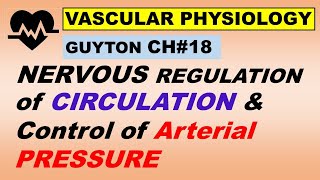 Ch18Physiology Guyton  Nervous Regulation of Circulation and Rapid Control of Arterial Pressure [upl. by Delaney391]