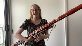 Bassoon and Tenoroon Demo [upl. by Janis]