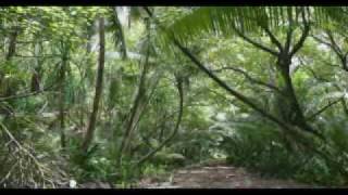 Olohega or Swains Island Part 2 of 3 Tagata Pasifika [upl. by Ahsinor]