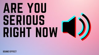 Are you serious right now Sound Effects Free  Soundboard Link [upl. by Vokaay]