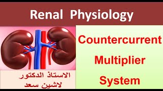 Medullary gradient osmolarity countercurrent multiplier systemLashin لاشين [upl. by Notsirk]