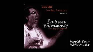 Saban Bajramovic  Pelno Me Sam [upl. by Mccreary22]