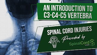 C3 C4 C5 Definitions Cervical Spinal Cord Injury Symptoms Causes Treatments and Recovery [upl. by Anwahsit]