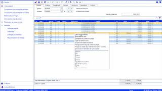 🎓Les TutoZ  08  Réaliser du lettrage manuel dans CEGID Comptabilité [upl. by Lyrred]