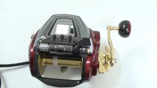 DAIWA SEABORG 1200MJ [upl. by Tija265]