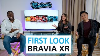 New BRAVIA Lineup First Look on The Lowdown [upl. by Rosena]