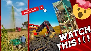 Cutting 🌽 Planting 🍉 Harvesting 🍠 Process 🌶 Technique [upl. by River]