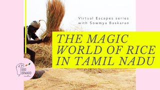 The Magical World of Rice  Sowmya Baskaran  Food Forward India Virtual Escape Tamil Nadu [upl. by Schug]