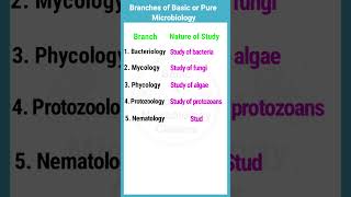 Branches of Basic or Pure Microbiology  shorts [upl. by Odnamla]