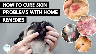 How To treat 5 Skin infection in dogs 🐕 with home remedies [upl. by Berger]