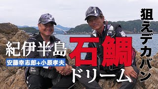 舞い込め【安藤幸志郎】和歌山県出雲のデカバン石鯛に挑む。 [upl. by Samot]