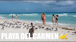 Playa del Carmen Playacar Beach walking tour 4k 60fps [upl. by Vassily]