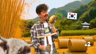 Je deviens agriculteur en Corée du Sud 🇰🇷  vlog n°2 [upl. by Corson370]