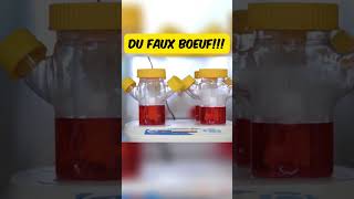 DU faux boeuf streetfood streetcuisine food cuisine recette gastronomique [upl. by Nosnaj]