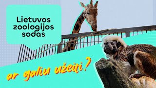 Ar galiu užeiti Duris vėl atvėrė zoologijos sodas galima vaikščioti tiesiog tarp gyvūnų [upl. by Alehs]