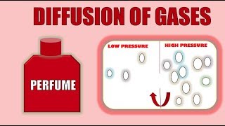 DIFFUSION REAL LIFE EXAMPLES DIFFUSION CHEMISTRY BIOLOGYYOUTUBE [upl. by Iver202]