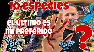 10 NUEVOS ANIMALES RANAS🐸 LAGARTOS🦎 ESCORPIONES🦂MAMIFEROS🦦 INVERTEBRADOS🐛 El último mi favorito 😱 [upl. by Donnell]