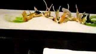 Alinea Restaurant Chicago quotIce Fishquot meal [upl. by Aketahs]