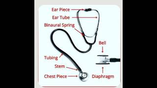 stethoscope use stethoscop part name stethoscope medicaleducation [upl. by Knitter]