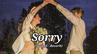 Sorry  Remix Slowed  Reverb  sorry justinbieber slowed lofi remix trending viral [upl. by Oznecniv116]