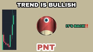 PNT COIN TREND IS BULLISH IN NOVEMBER 2023‼️ PNETWORK ROAD PRICE WILL TO MARS‼️ PNT CRYPTO IS BACK [upl. by Fagin]