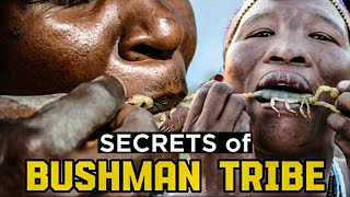 Hidden secrets of Bushman tribeBushman tribeunder shadow [upl. by Vernen]