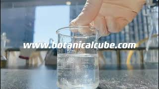 Tremella polysaccharide extract dissolution experiment by Botanical Cube Inc [upl. by Brinson445]