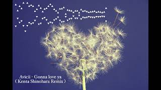 Avicii  I wanna love ya Kenta Shinohara Remix [upl. by Sybille116]