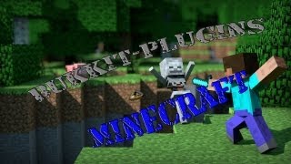 Einige wichtige Plugins  Minecraft Bukkit Server 164  172  German [upl. by Irehc]