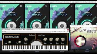 Free VST ujam Finisher Micro and You Wa Shock [upl. by Oterol643]