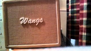 Wangs amplifier VT5 HW first listen [upl. by Ashling]