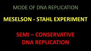 Semi Conservative DNA Replication and experimental proof given by Meselson and Stahl [upl. by Norej328]