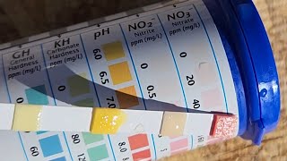 Bacterial Oxidation of Urine to Nitrates [upl. by Reivilo]