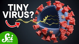 The Smallest Pathogen on Earth Viroids Explained [upl. by Savory]