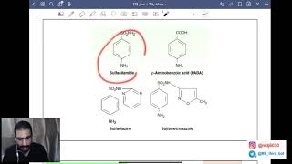 مرحلة ثالثة  Pharmacology  Folic Acid Antagonists amp Urinary Tract Antiseptics [upl. by Deonne549]